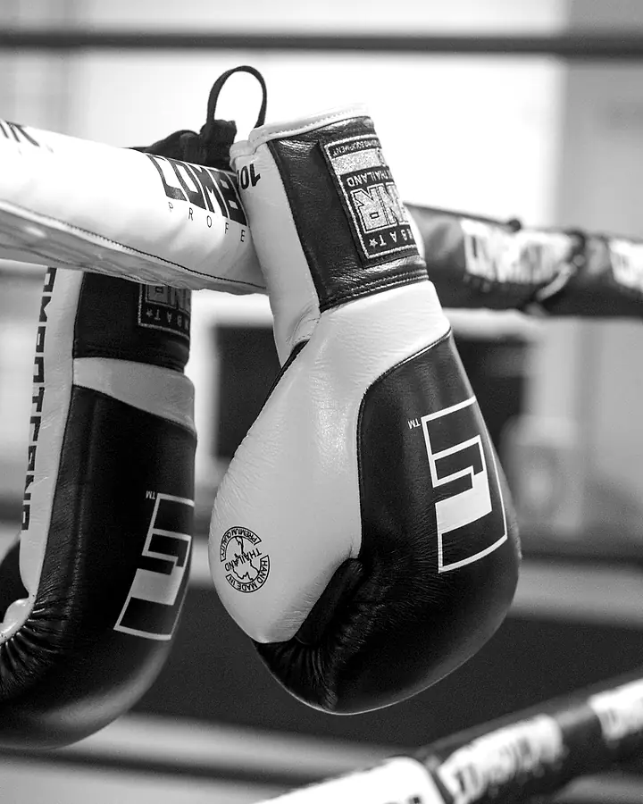Zwei Boxhandschuhe hängen an den Seilen eines Rings.